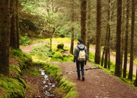 Krachttraining wandelen — man wandelt door bos