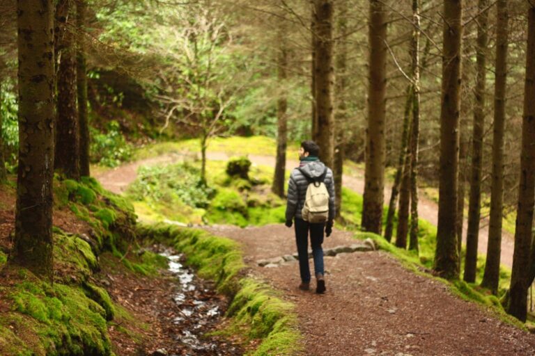 Krachttraining wandelen — man wandelt door bos