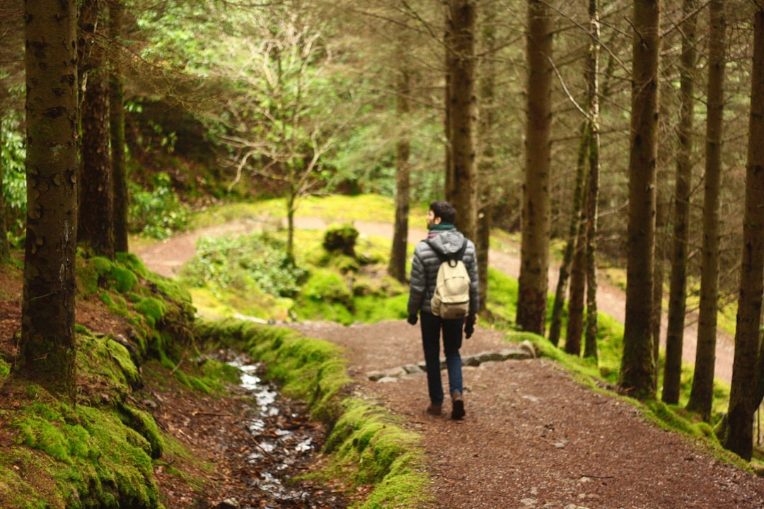 Krachttraining wandelen — man wandelt door bos